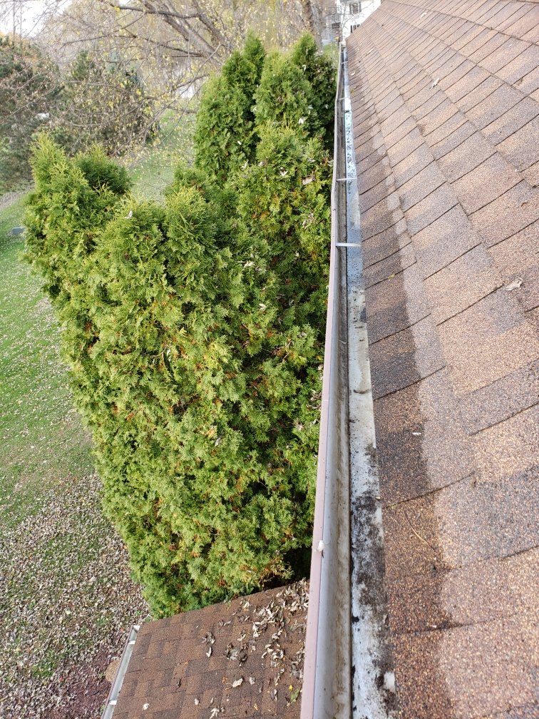 Clean gutters- After