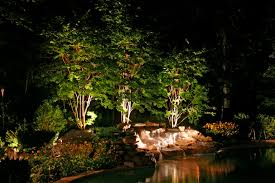 Backyard Landscape Lighting