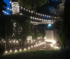 Canopy lighting and path lights